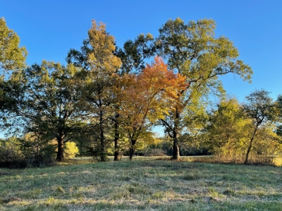 Southeast Oklahoma Ranch  For Sale - image 7