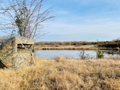 Southeast Oklahoma Ranch  For Sale - image 37