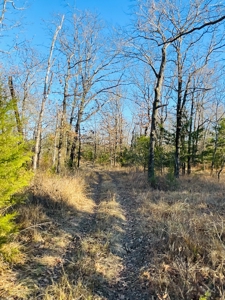 Southeast Oklahoma Ranch  For Sale - image 28
