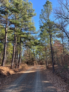 Southeast Oklahoma Ranch  For Sale - image 11