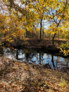Southeast Oklahoma Ranch  For Sale - image 29