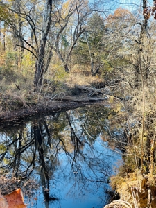 Southeast Oklahoma Ranch  For Sale - image 30