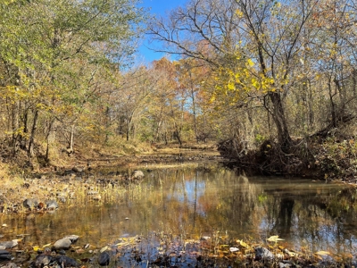 Southeast Oklahoma Ranch  For Sale - image 39