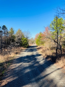 Southeast Oklahoma Ranch  For Sale - image 32