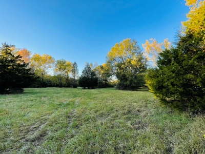 Southeast Oklahoma Ranch  For Sale - image 6