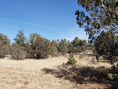 Owner Financing for Mountain Land in Seligman aZ - image 5