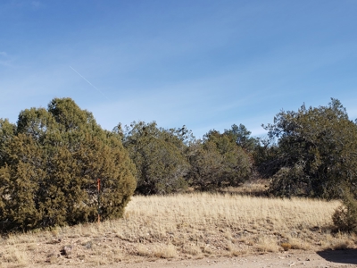 Owner Financing for Mountain Land in Seligman aZ - image 8