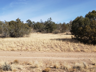 Owner Financing for Mountain Land in Seligman aZ - image 7