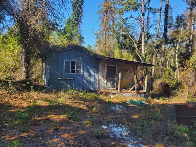 Secluded Land for Sale in Bristol Florida - image 1