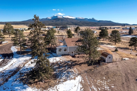 Family & Horse Property in Divide Colorado - image 40