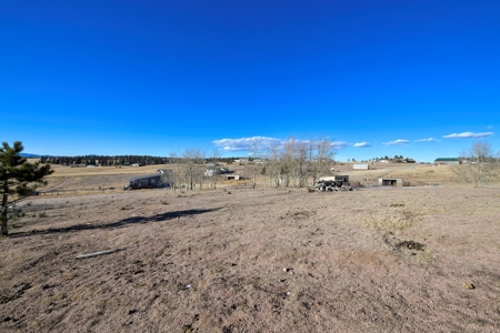 Family & Horse Property in Divide Colorado - image 10