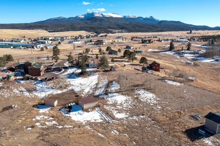 Family & Horse Property in Divide Colorado - image 39