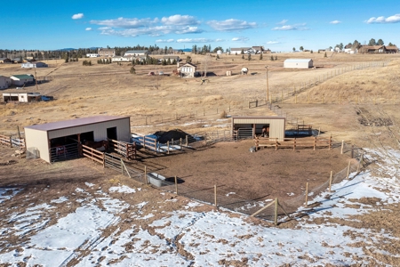 Family & Horse Property in Divide Colorado - image 41