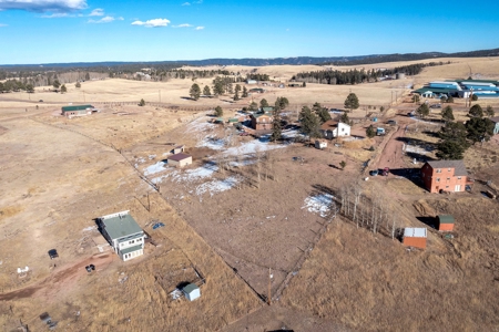 Family & Horse Property in Divide Colorado - image 37
