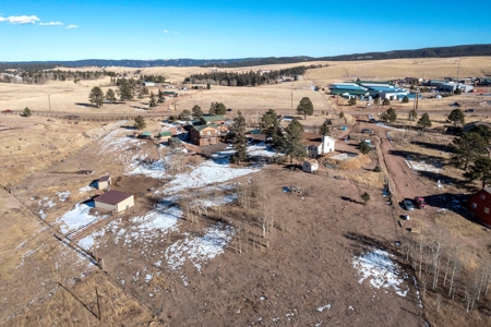 Family & Horse Property in Divide Colorado - image 38