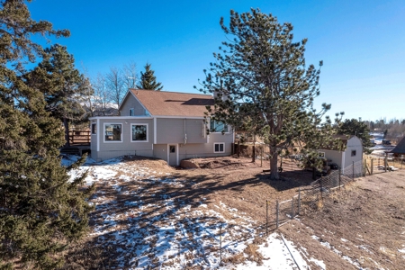 Family & Horse Property in Divide Colorado - image 42