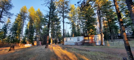 North Idaho Timbered 6 +/- Acre Parcel For Sale in Deary - image 43