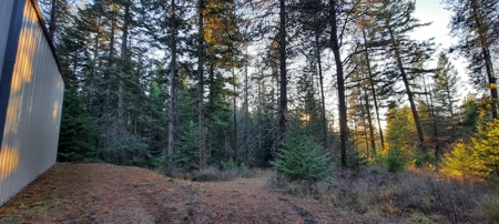 North Idaho Timbered 6 +/- Acre Parcel For Sale in Deary - image 40