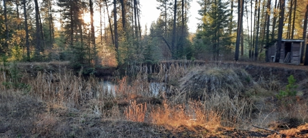 North Idaho Timbered 6 +/- Acre Parcel For Sale in Deary - image 33