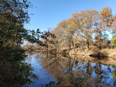 Kiamichi River Recreational Property near National Forest - image 11