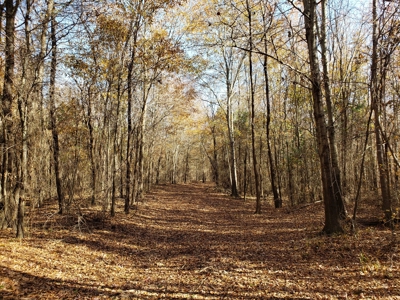 Kiamichi River Recreational Property near National Forest - image 10