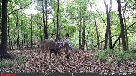 Kiamichi River Recreational Property near National Forest - image 17