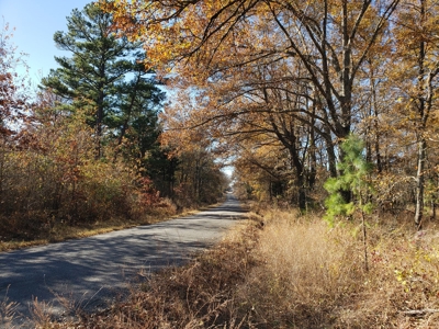 Kiamichi River Recreational Property near National Forest - image 12