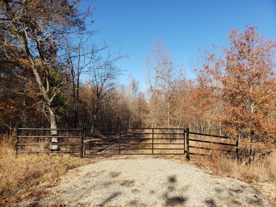 Kiamichi River Recreational Property near National Forest - image 9