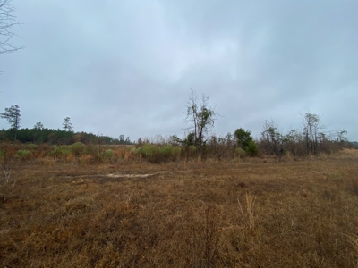 Country Land For Sale, Cass County, Jefferson, Texas - image 10