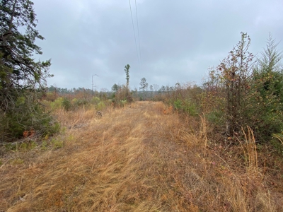 Country Land For Sale, Cass County, Jefferson, Texas - image 22