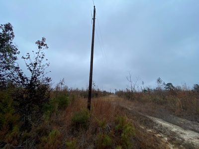 Country Land For Sale, Cass County, Jefferson, Texas - image 5