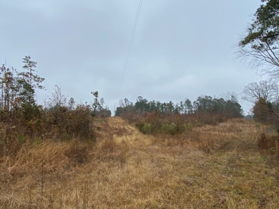 Country Land For Sale, Cass County, Jefferson, Texas - image 18