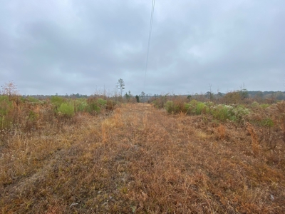 Country Land For Sale, Cass County, Jefferson, Texas - image 24