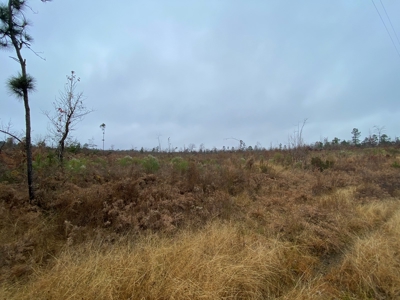 Country Land For Sale, Cass County, Jefferson, Texas - image 20