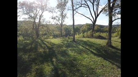 White River Lot For Sale - image 5