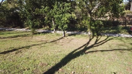 White River Lot For Sale - image 10