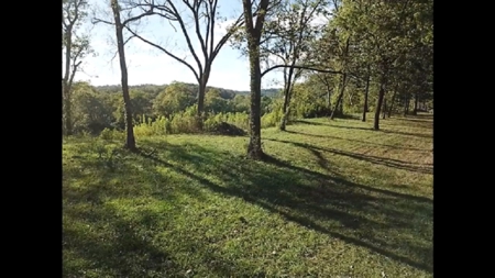 White River Lot For Sale - image 6