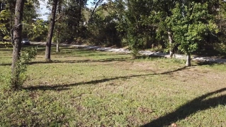 White River Lot For Sale - image 11