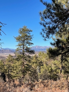 Chama NM Recreational Mountain Property for Sale, Land - image 1