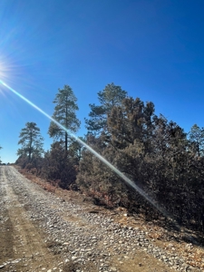 Chama NM Recreational Mountain Property for Sale, Land - image 3