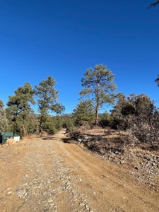 Chama NM Recreational Mountain Property for Sale, Land - image 4