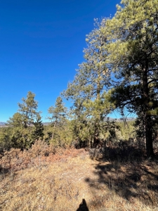 Chama NM Recreational Mountain Property for Sale, Land - image 6