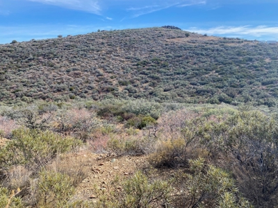Residential Acreage for Sale in Mayer AZ No HOA - image 4