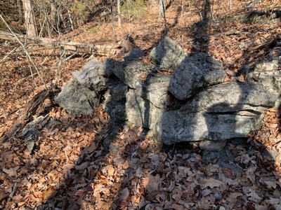 ROCKS, TREES and LIVE WATER - image 6