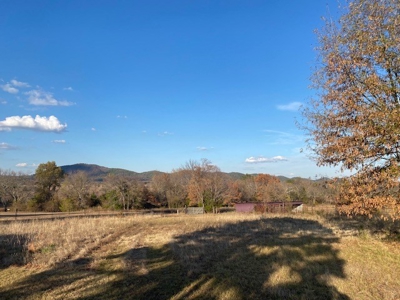 Farm Land For Sale Pushmataha County Lake Sardis Clayton,Ok - image 9