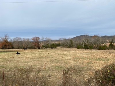 Farm Land For Sale Pushmataha County Lake Sardis Clayton,Ok - image 1