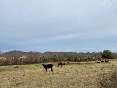 Farm Land For Sale Pushmataha County Lake Sardis Clayton,Ok - image 2