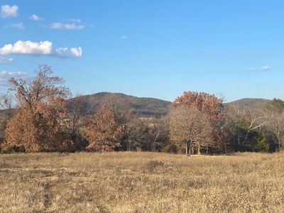 Farm Land For Sale Pushmataha County Lake Sardis Clayton,Ok - image 8