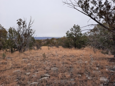 Very Secluded - image 10