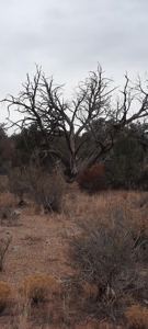Very Secluded - image 3